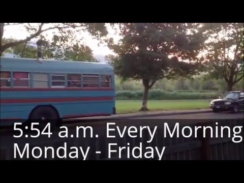 Confronting the honker; a real interaction.