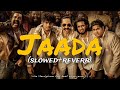 Jaada lofi (slowed + reverb ) ✨| Aavesham|Jithu mathavan|fahad fasil | sushin shyam|sreenath Bhasi