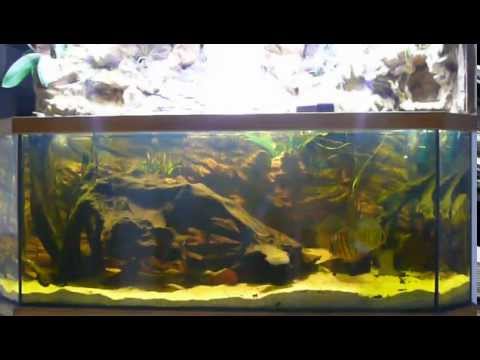 comment modifier le gh de mon aquarium
