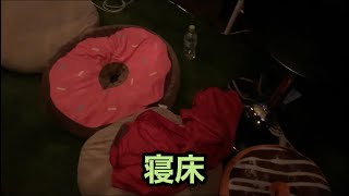 【旅ログ】おやすみコオロギさん 2021/9/25 名古屋BASEみなと 9日目