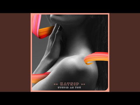 Stupid as You (Instrumental Version)