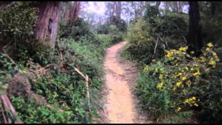 preview picture of video 'Wallaby Trail - Creswick Miners Walk - Section C of Trail'