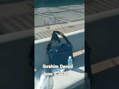 saida Lebanon shores Ibrahim Daoud