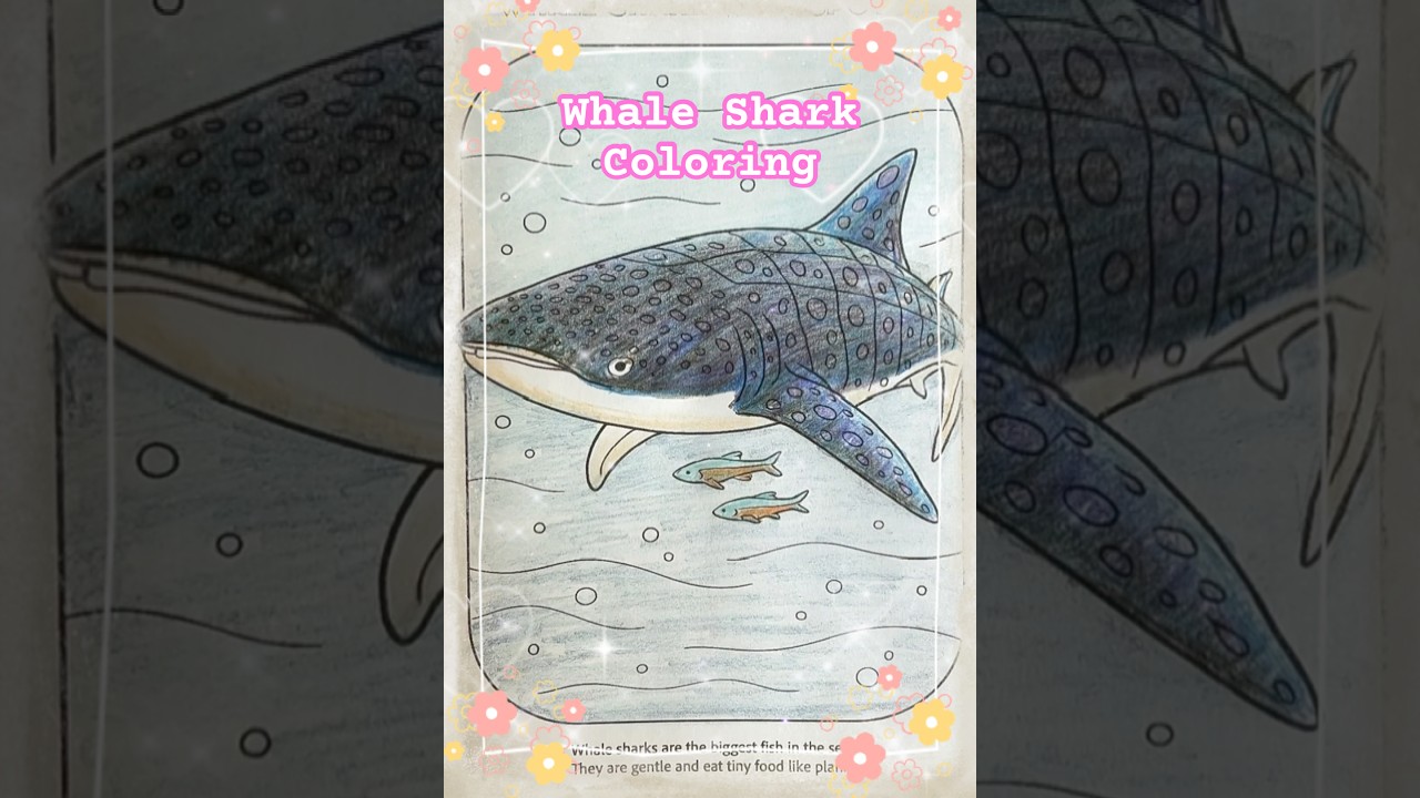 Whale Shark Coloring Page from Red Sea Marine Life Coloring Book #whaleshark  #marinelife #ocean