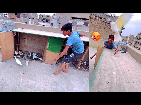 YouTube Thumbnail