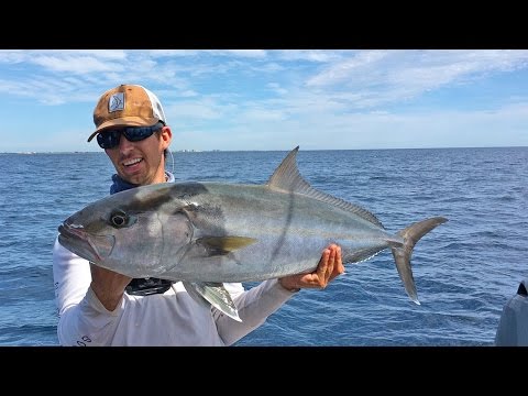 Amberjacks Round 2 - ft. Chew On This, 1Rod1ReelFishing & LunkersTV