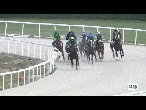 2021.04.25. 05. futam - BAKONYI DÍJ (IV.kat.)(szintetikus pálya)