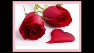 la indiferencia los tigres del norte