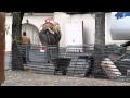 Piccadilly Gatti Circus Cruelty Elephant To Show For Rides