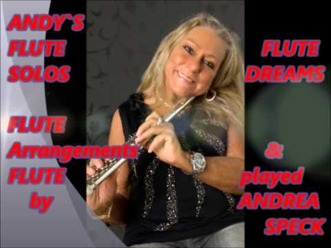 ANDY`S FLUTE SOLOS -   ANDY`S Winter Wonderland - Last Christmas - Feliz Navidad