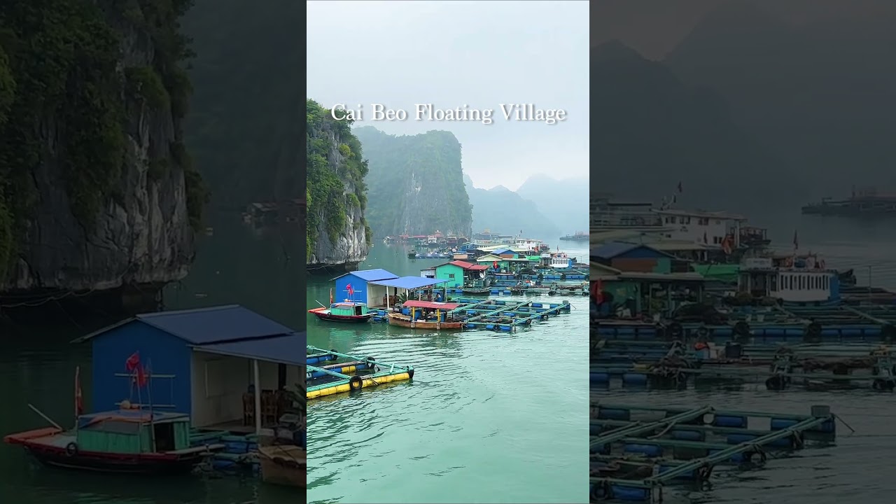 YouTube Short thumbnail