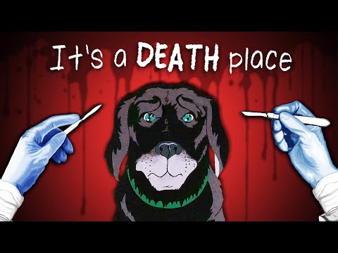 The Darkest Animated Movie You Haven't Seen