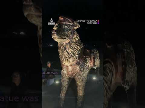 Venezuela quakes rescue dog ‘Tsunami’ honoured with statue | AJ #shorts