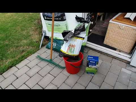 Hönsgödsel och gräsfröer