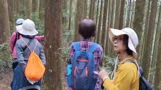 野馬瞰山森林步道