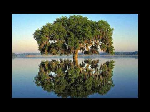 download lagu mp3 mp4 Plantio De Jehova, download mp3 Plantio De Jehova free download mp3, download mp3 Plantio De Jehova