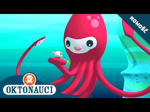 Oktonauci - i wielki kalmar | Cały odcinek 6 | Seria 1