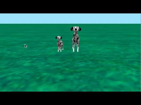 Danyal Rehan dog wag