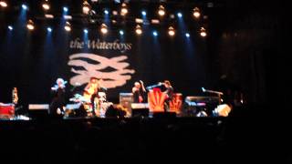 The Waterboys - Killing My Heart