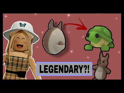 How To Hatch Legendary Or Ultra Rare From Aussie Eggs How To Hatch L