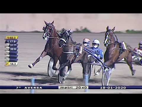 Aversa trotto 18 Gennaio 2020 - 7° Corsa