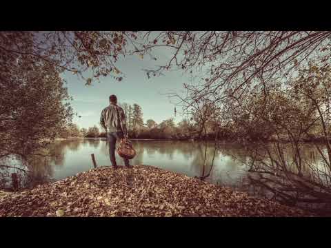 Peter Dirnbek & Vox Populi — Brazde