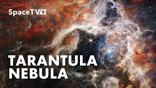 Zoom in Tarantula Nebula 4K captured by NASA's Webb Telescope