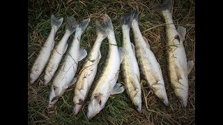 Рыбалка с егерем на яузском водохранилище