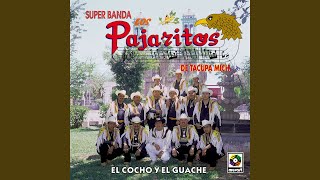 El Cocho Y El Guache