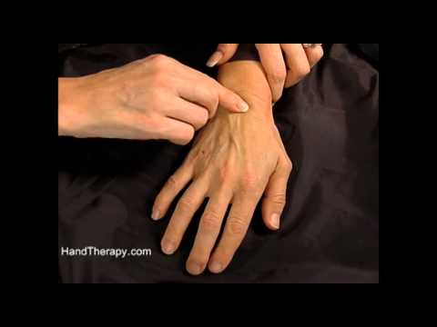 How to palpate the carpal bones in the wrist