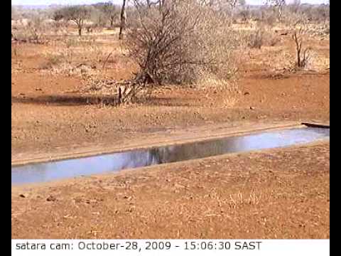 Satara Cam 2009-10-28