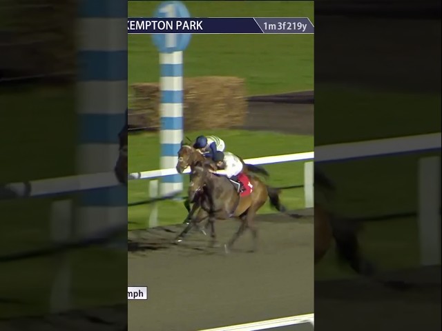 Thumbnail for Post ID: wY0i1_XxqFg