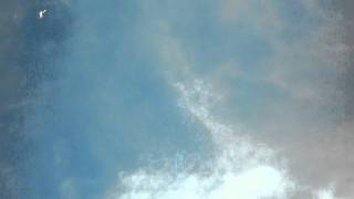 Jason Meadows Promo!