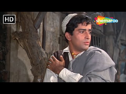Ek Tha Gul Aur Ek Thi Bulbul | Jab Jab Phool Khile | Shashi Kapoor | Nanda | Mohammad Rafi Hit Songs