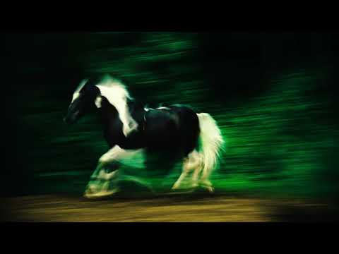 Ensacado (part. Pitty) - Josyara