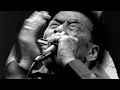 James Cotton-You Didn't Think About It