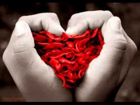 download lagu mp3 mp4 El Amor Nace, download lagu El Amor Nace gratis, unduh video klip El Amor Nace