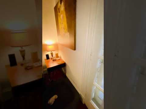 302 N. Cleveland St.* - Video 2 of 2