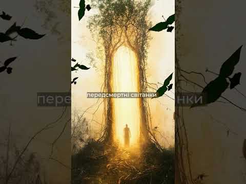 Александр Коротко, Поезія , “Готичний присмак божевілля…”