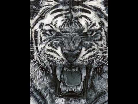 STREET TiEZ Ft Postman L & Ca$ablanca (Unreleased) prod by @Sypooda