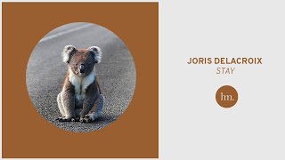 Joris Delacroix - Stay video