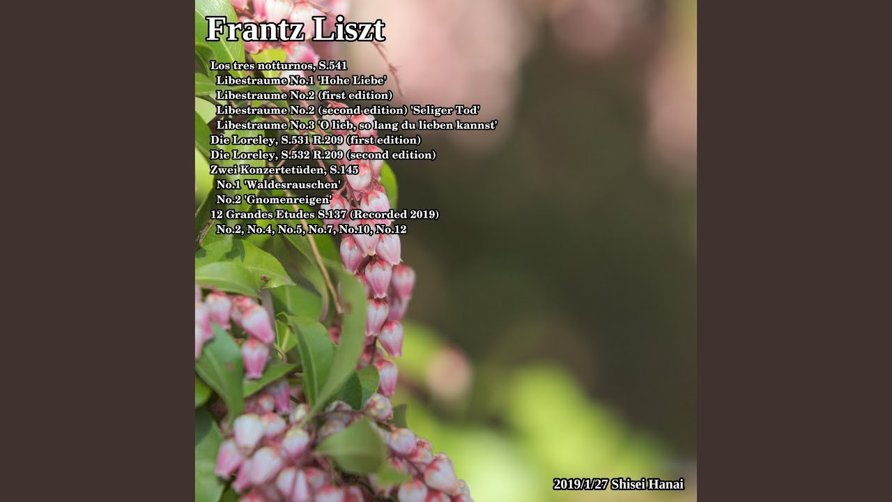 Liszt Los Tres Notturnos, S. 541: Liebestraum No. 3 'O Lieb, So Lang du Lieben Kannst'