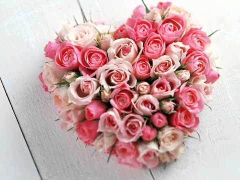 Happy Valentine's Day