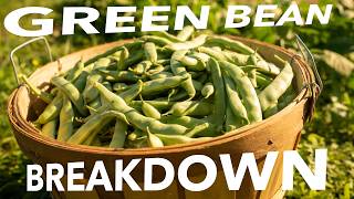 Do You Really Have to Inoculate Beans and Other Green Bean Things
