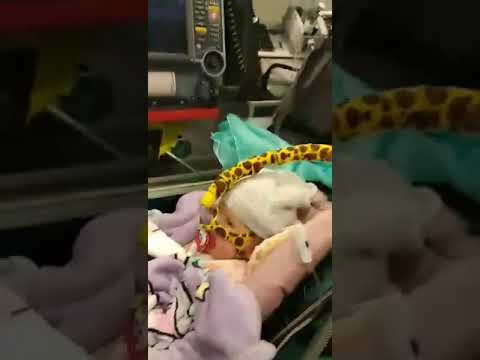 Obrazek poglądowy filmu YouTube