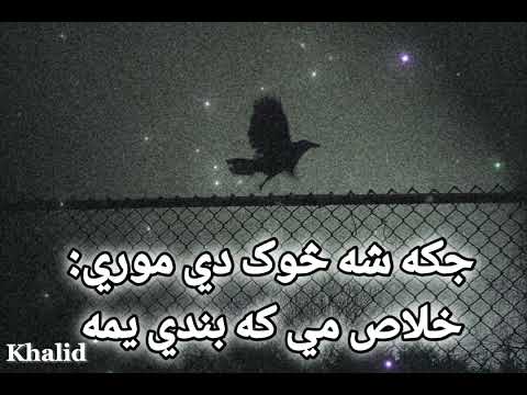 جګه شه څوک دي موري __حلاص می که بندی یمه __Jaga Sha Sok de more __hlas me ka bandi yama__khost song