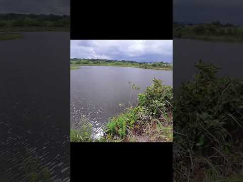 38 alq.valor 200 mil por alq escriturada 36 km de Itarumã em Goiás chama no zap.91982165639