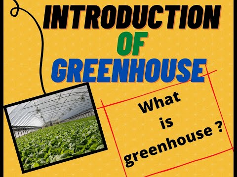 image-What is the greenhouse how it classify?