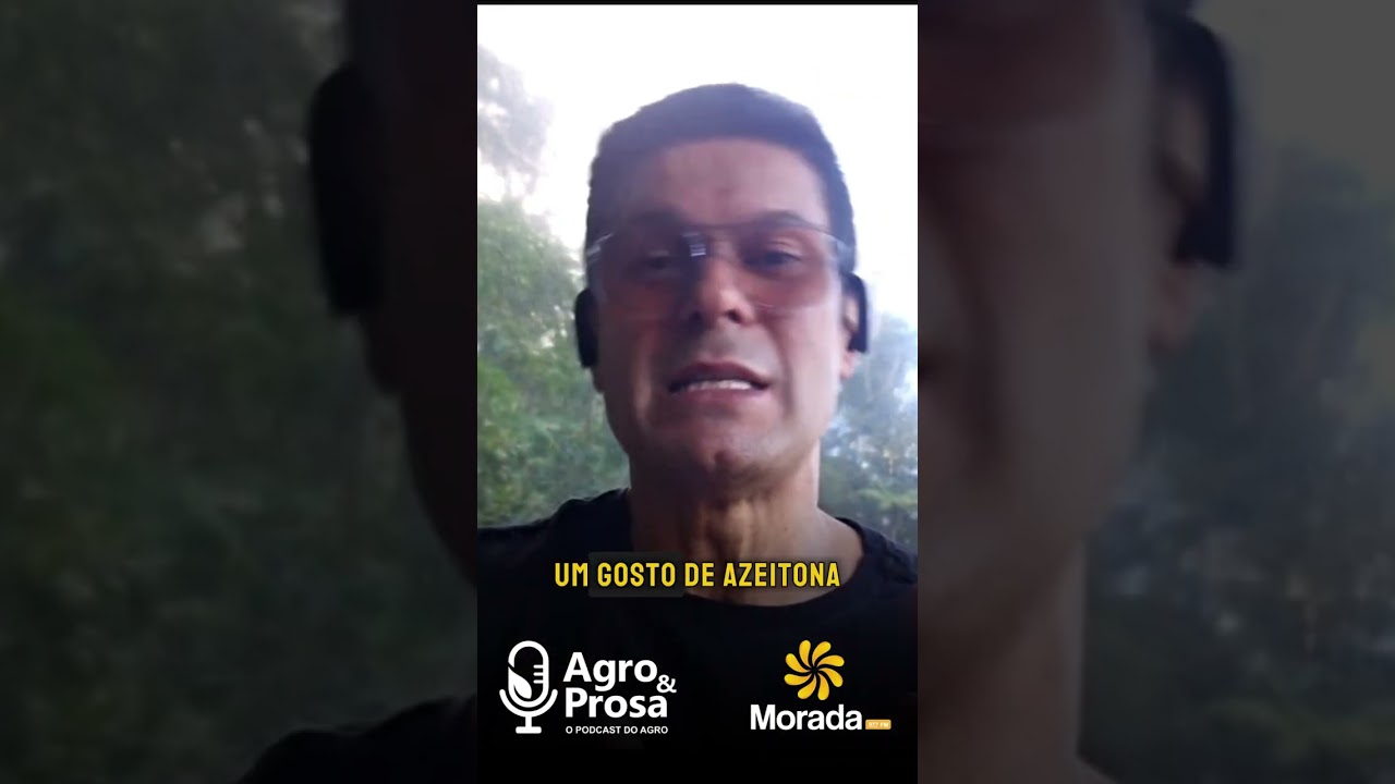 Entenda porque o AZEITE BRASILEIRO é tão premiado na Europa