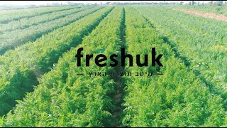 Немного о Фрашуке :)